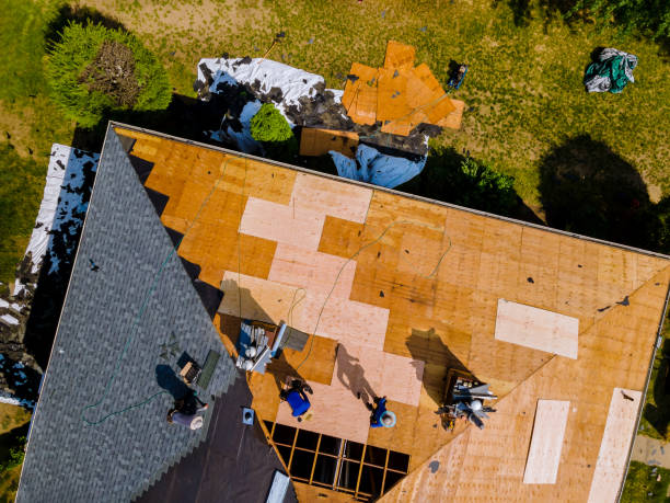 Best Storm Damage Roof Repair  in Jefferson, IA